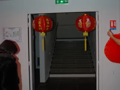 2011年Pôle-ESG新春活动