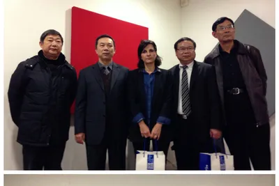 中南财经政法大学武汉学院代表团访问Studialis教育集团